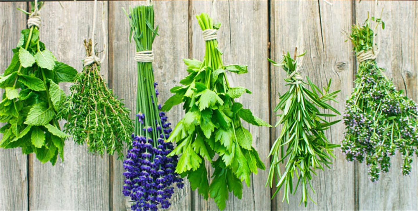 Herbs-837x425