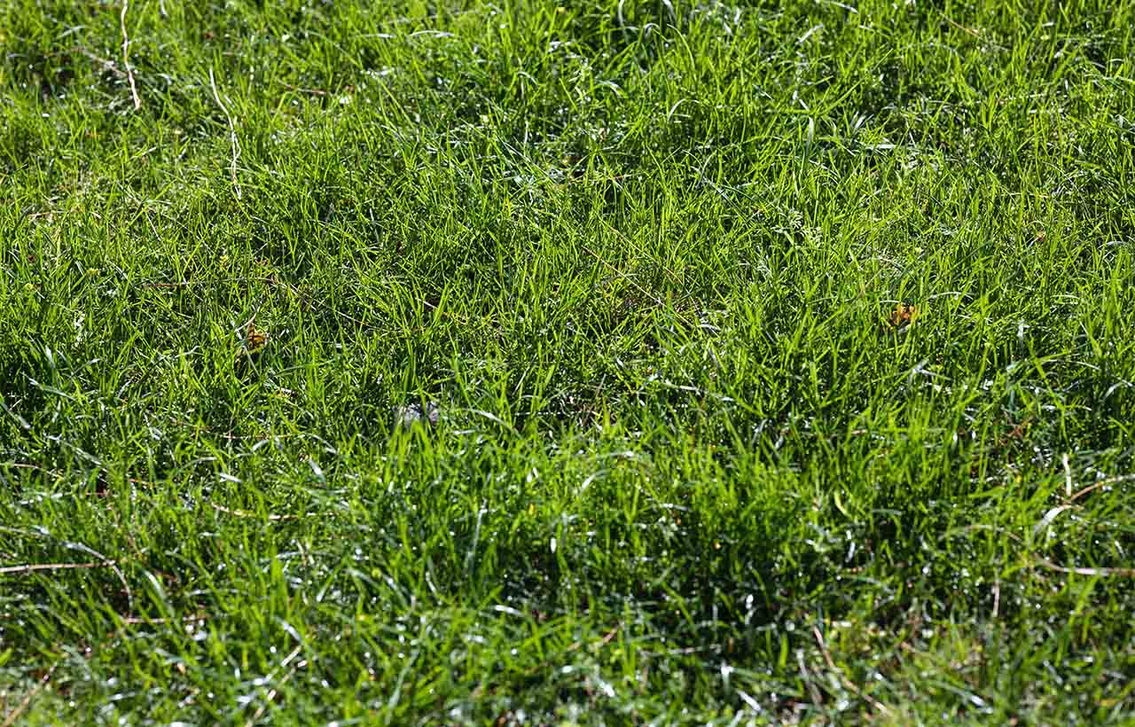 pexels-engin-akyurt-4040622